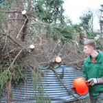 friederike-02