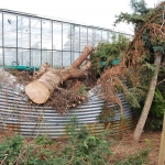 friederike-03